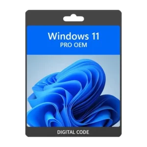 LICENCIA WINDOWS 11 Y OFFICE 21